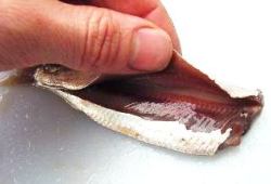 Sprat cut but butterfly still connected to the waste 